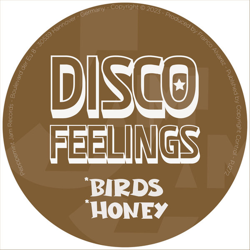 Disco Feelings - Birds & Honey [PJ272]